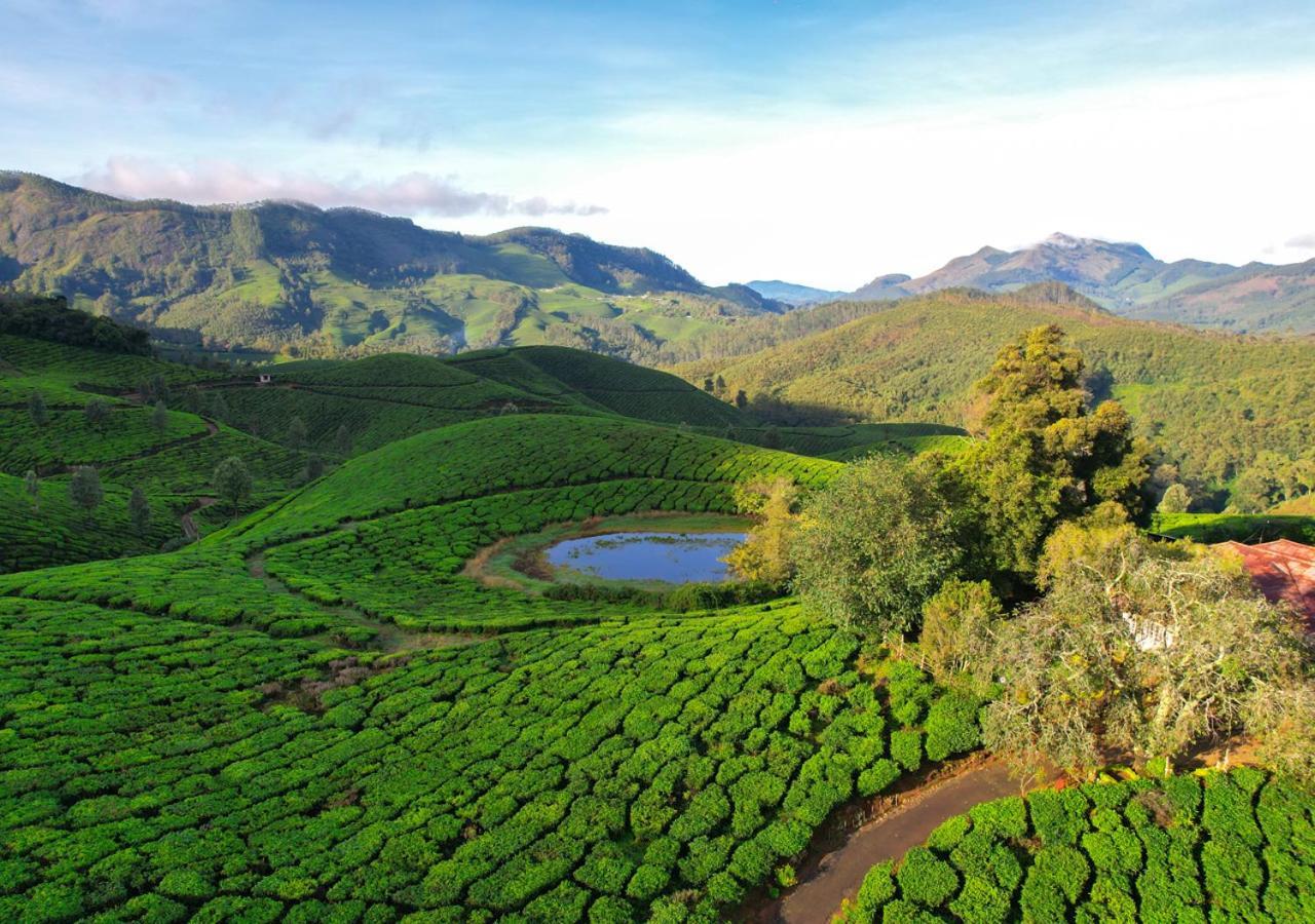 Arivikad Tea Bungalow Munnar By Voye Homes Suryanelli المظهر الخارجي الصورة