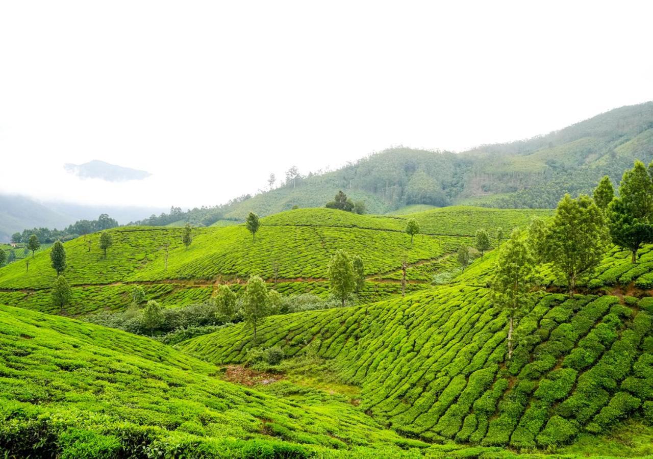 Arivikad Tea Bungalow Munnar By Voye Homes Suryanelli المظهر الخارجي الصورة