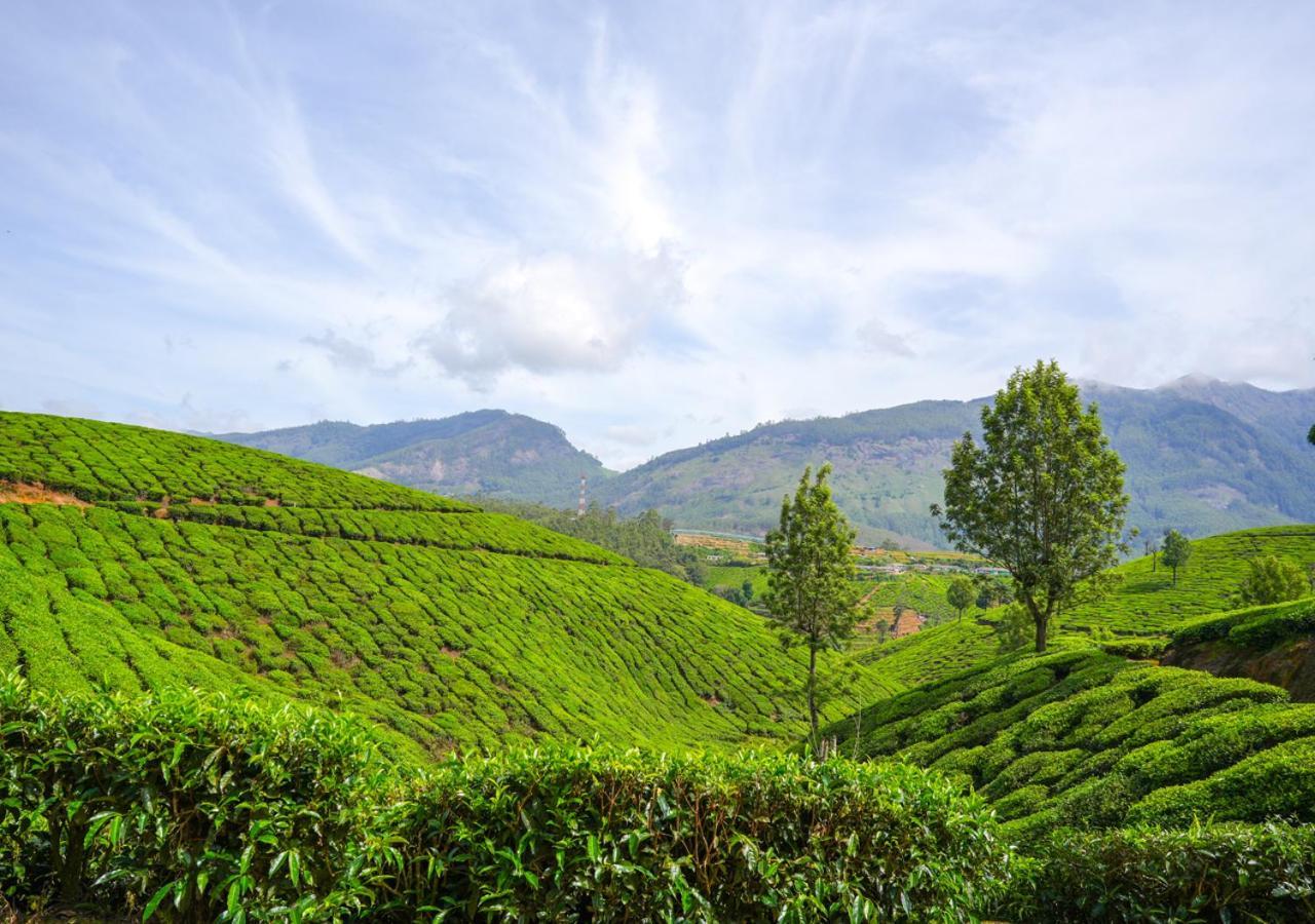 Arivikad Tea Bungalow Munnar By Voye Homes Suryanelli المظهر الخارجي الصورة
